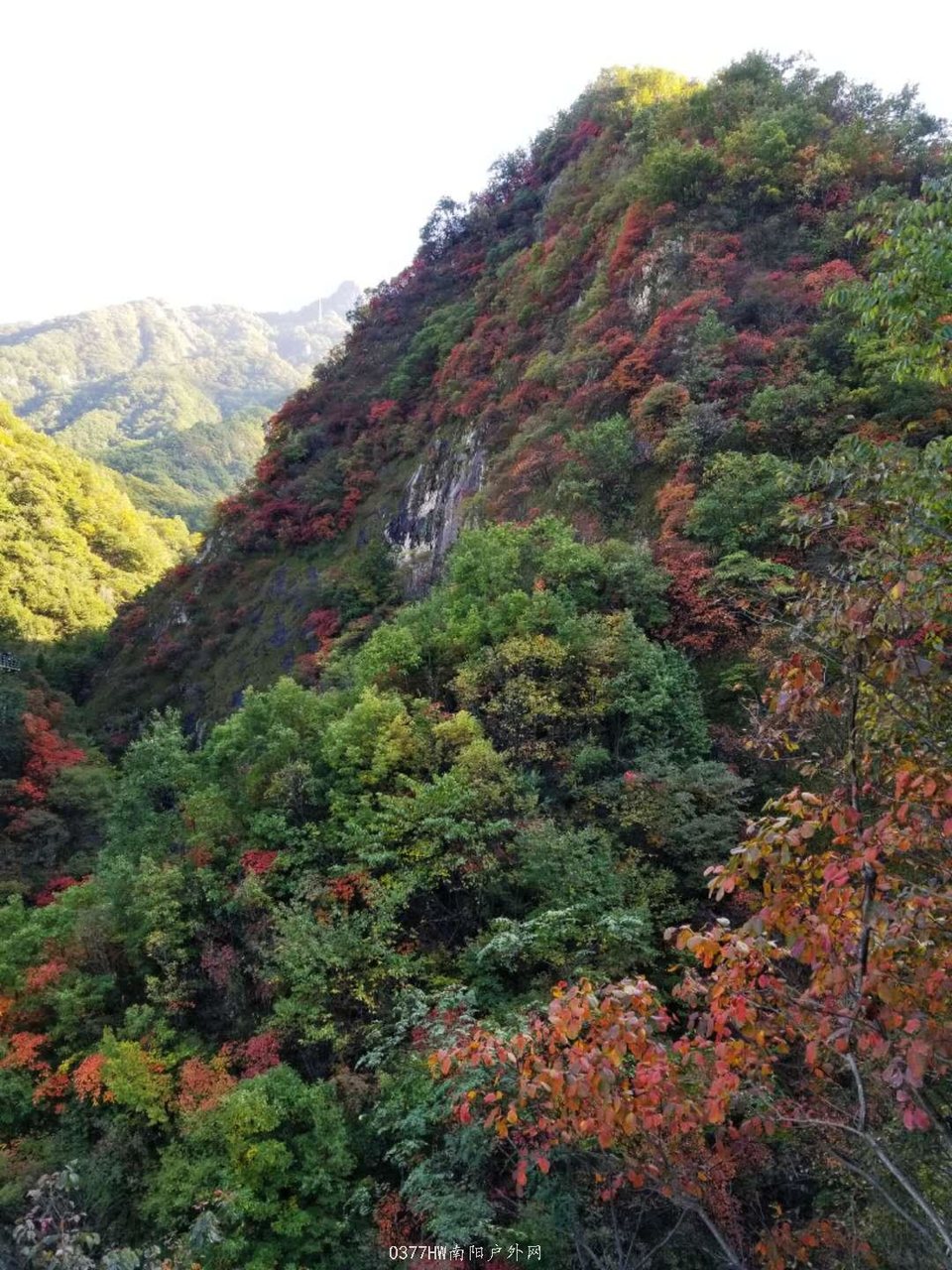 6NIxc0fwa-Ln3AYNoK5al6yVdlys1m_ty3OXfsd1fTsSkAfL0Bl90lgnrowBo0zp