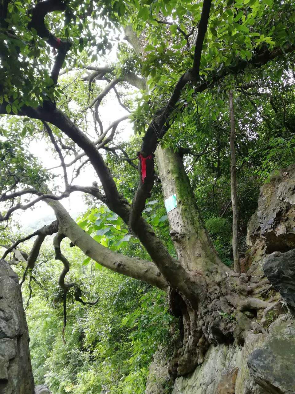 sP04H1uB6GZfKhVBQ1uxyh0aFf_6Tb8N68GVlo7WdBMw_9Hi4MMOtHXBUUuW7WK4