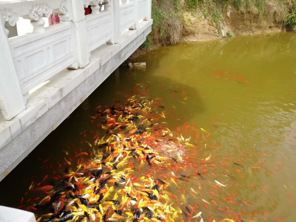 zW8buxEOo8U9aUGA6OMFnfIfbD5my0vBpt5i_vc75Id1flivTp1U_-SdBt46ICvH