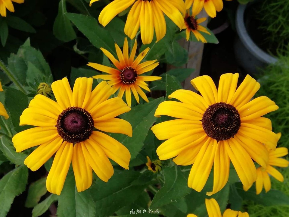 plPOdh2ac7sq5E5khlireAhH4OWH5OJ2e6YTpgognLYgGuelJtDKTEoRhRC2JxmB