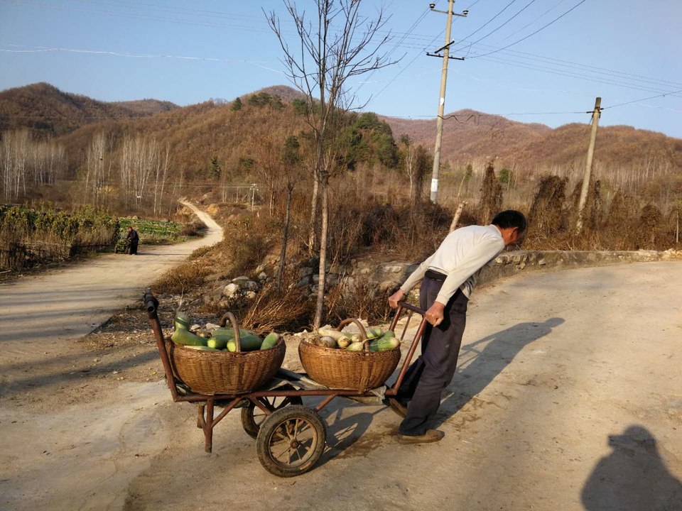 VN1cT3zbevqGNRwGuiRi4htVSftnUn0uWOr5nIyZVvUqhHr9rQyvWdZan4tMHCSR