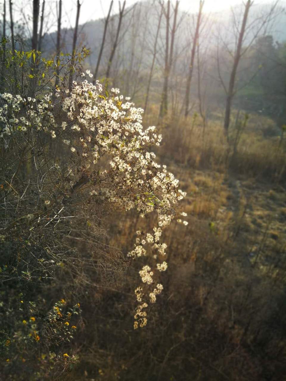 VcDzpiAFKsALvInTSg83z2UV8ZoqKdEWkElFB1d9K4z8SV3UlSLJUzB6eXUfNdNt