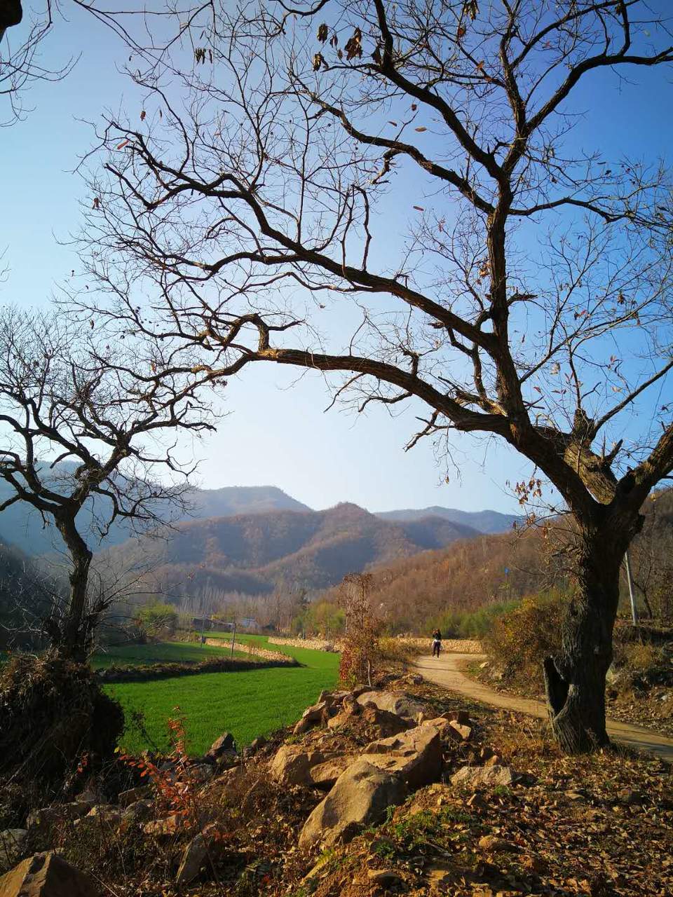 sWgoCYVfR0L8J5CR4iPpZkwoAh6n9_qh59bf5vga0nyCP4hgxb4uZLKIDvFrYmWz