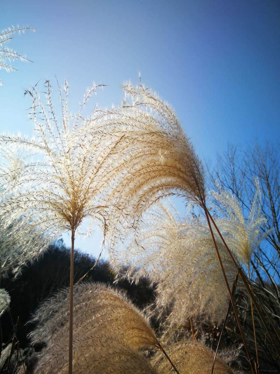 JC8WCcYQkAKuepI1FjGznwXgOQtG0IEwUrqgi9axX5xVY2AUUAqvYm1UYryL-H21