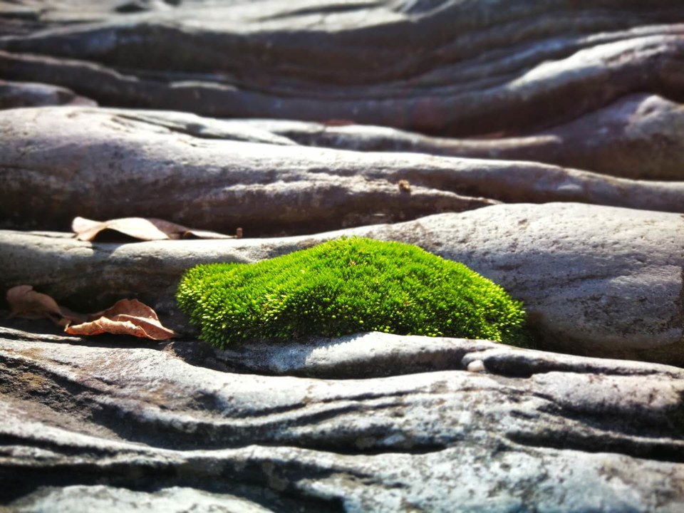 hC3AY3j_Ym0kCe6XN0wgzowKe5SqLUjEy8V3tszvqmosIcE6VG5qbiDOoR920vI6