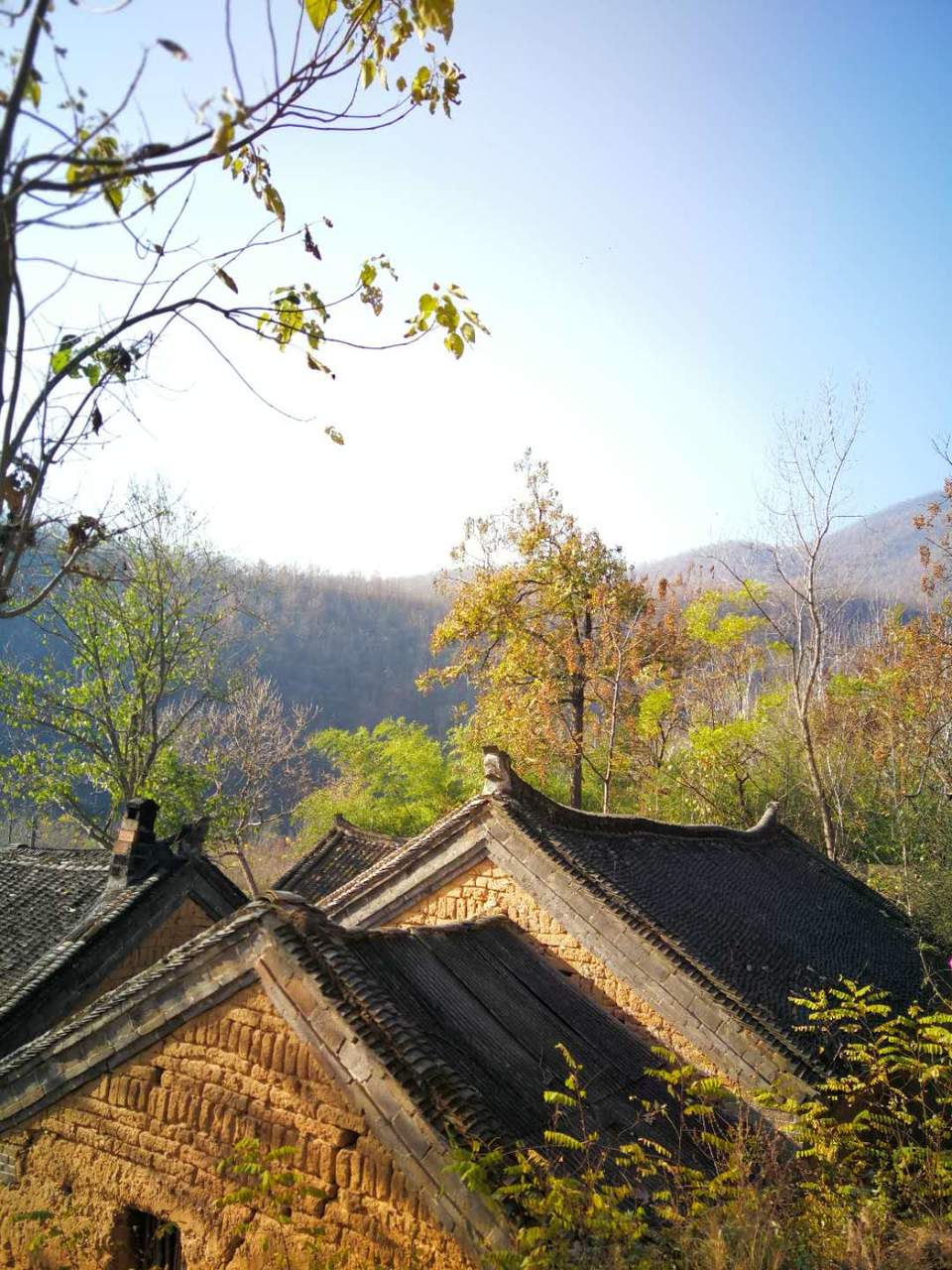 poluKSE4qhFoFh9AkzwSvsk_oC_alvQZoN6SiWJ07JGqkm8hMiaOra1nUji0x6nn