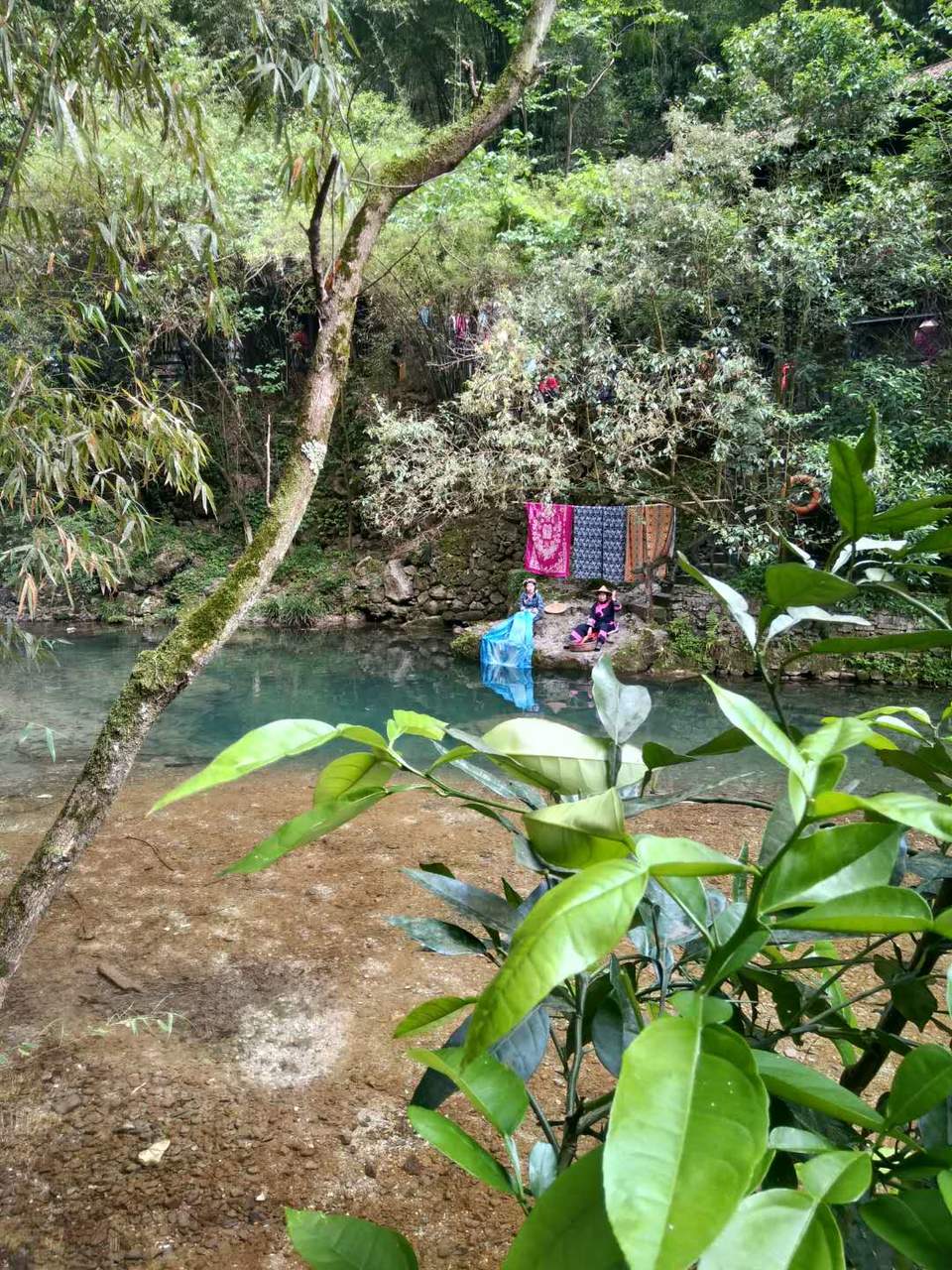 qg6dLSq6OpRk5umYfhWeADUxgZh1mHnB2uQSYTY7yEW5zGWdqoN-2wOtzpja0Rqa