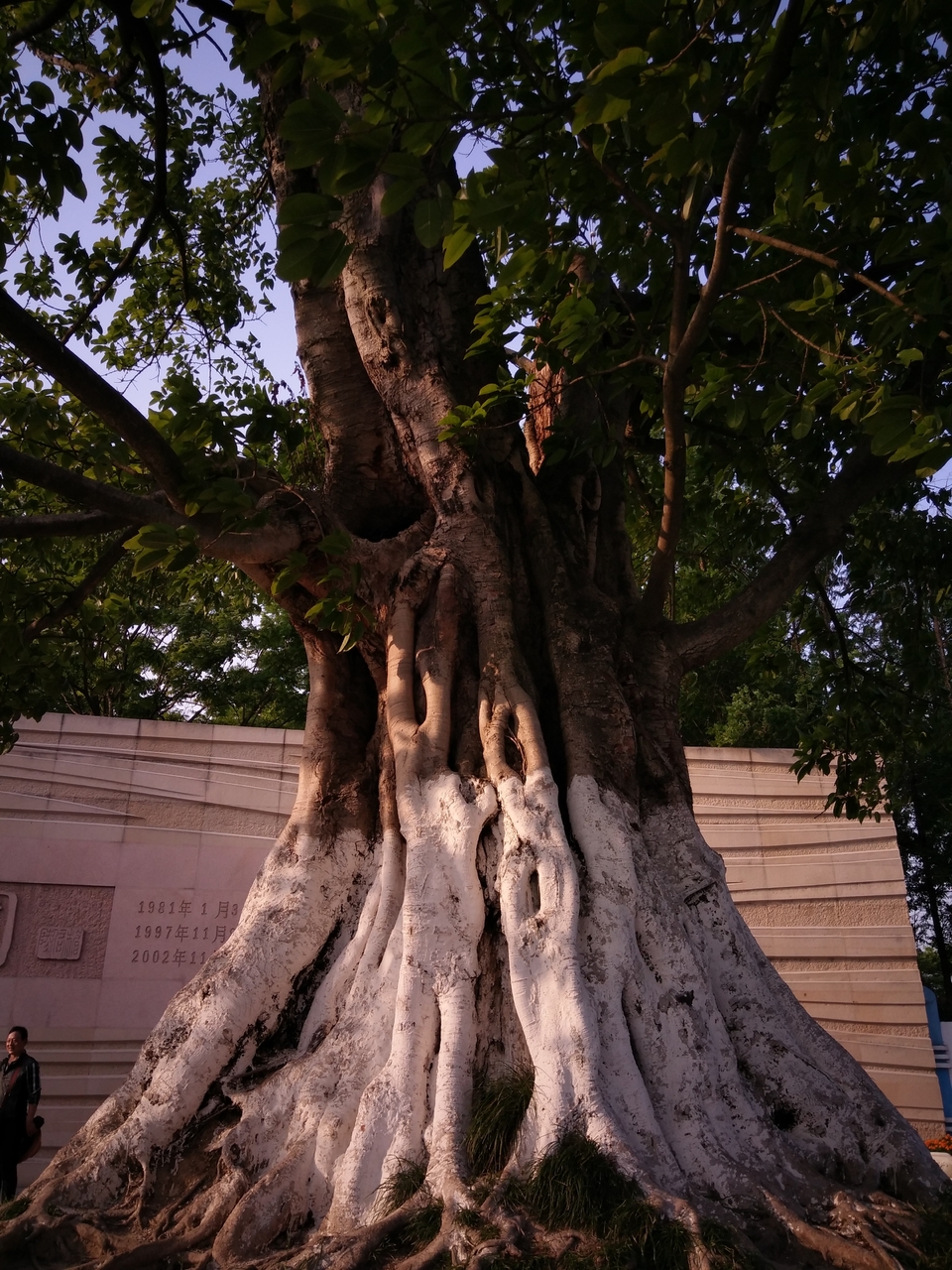 tpseIGx3wAsJofmwV62NEhxuLDZkpATc1ps-MeDEk9cHu4WZIyjZKZ5uostl9qKV