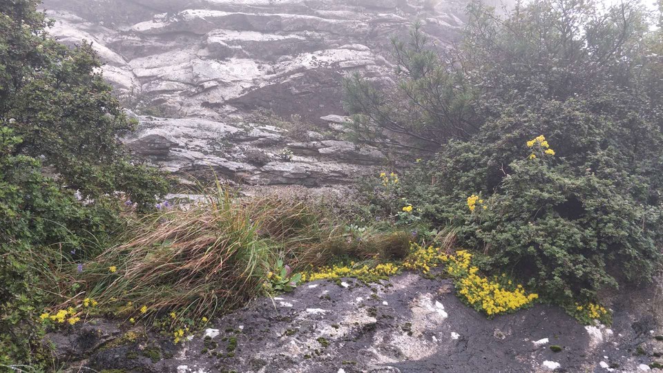 waEGtx4KjphoT1AVQvMWnE41uhePasQGgYts3Up_Wc_i697iCXve-0XXl5FEXKYq