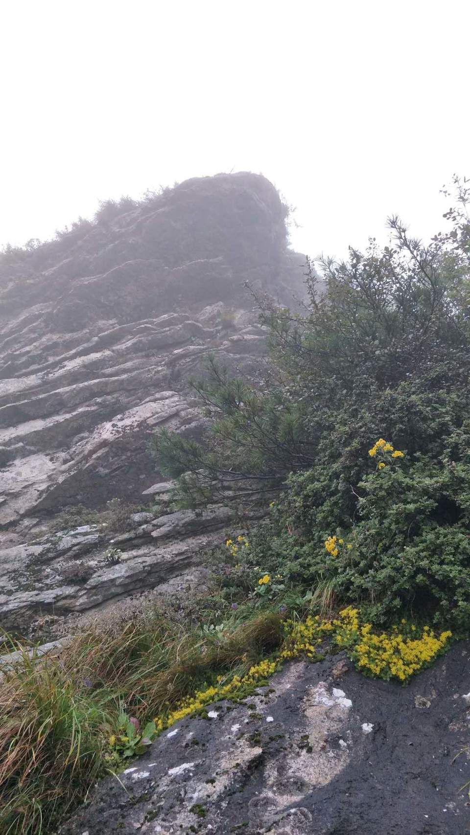 TwwDquIUY8Y3A43LXvkzAXRg_lghVmpEsaU9d3Ov_0GPq1jUl2ycRkvadjv_mBTV