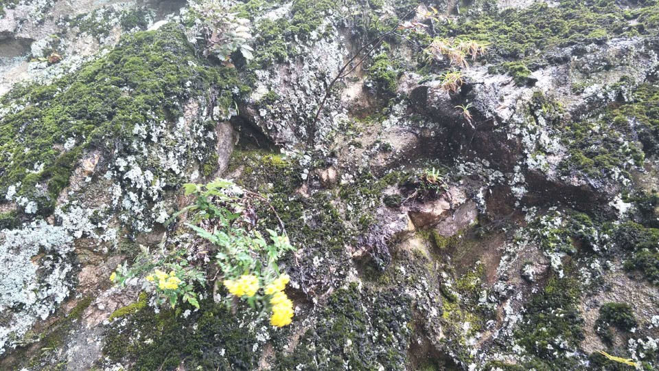 Fz3KiMtbKR5gbIDZr_lx20IiagDS30iC5qn77Rzlkij_JxYoXS-PlLbc_buEHb-I