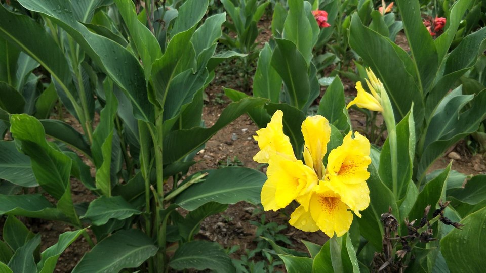 GxTBOe6NdIfosFxcvs8VhWsXZ5Bma-CzNfX8vt1-_jf_z5e77CTbJCS7A6PwYq9K