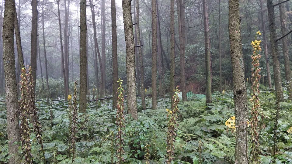 YPTwOvMxST1IpwVbcASutQ2sZN21eaN1u11hedJWB5UG6nPmjYS0wCTkqyJr32Rt