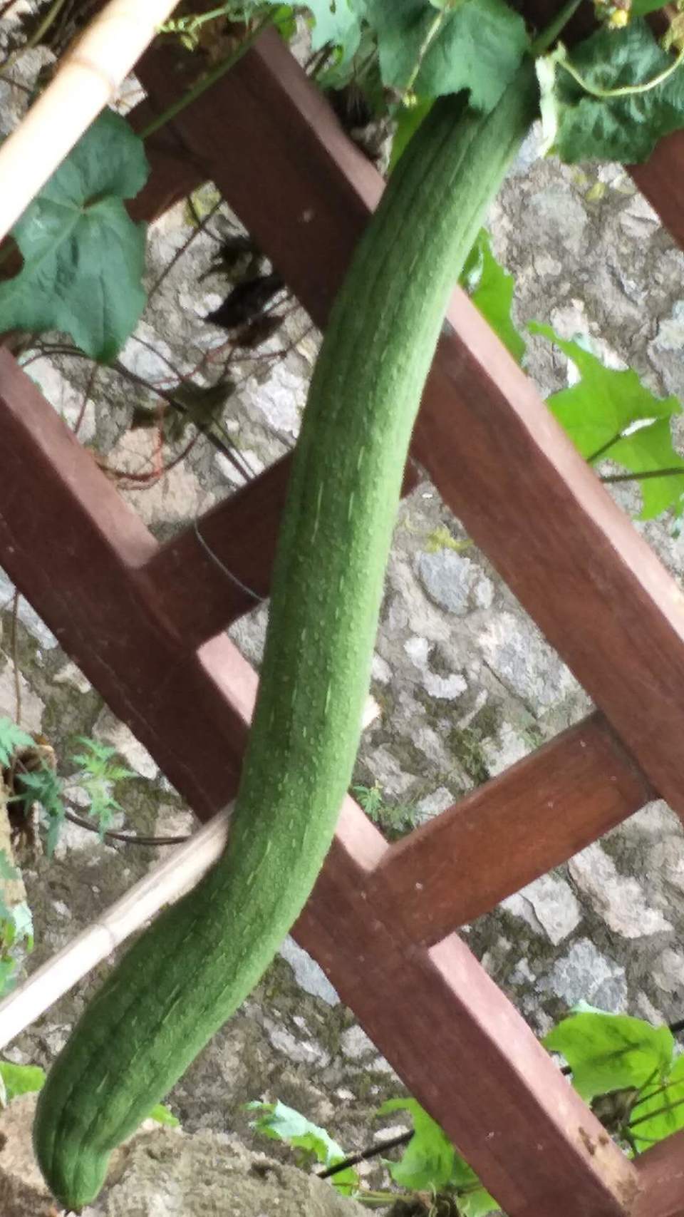 yo30pupMFdwrAwcrBr28bZmqusZeHbcITQbdmHf3IIKjeFF111a0Zc2sfjrqRzyO