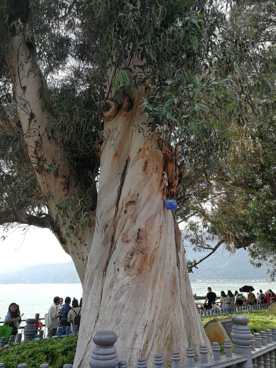 1WNOYheuAr1OQ6hu2xirfCD5uLMPtAW-UBNpy1Tu0uOy89B-VFua8i7FLhUa6HEl