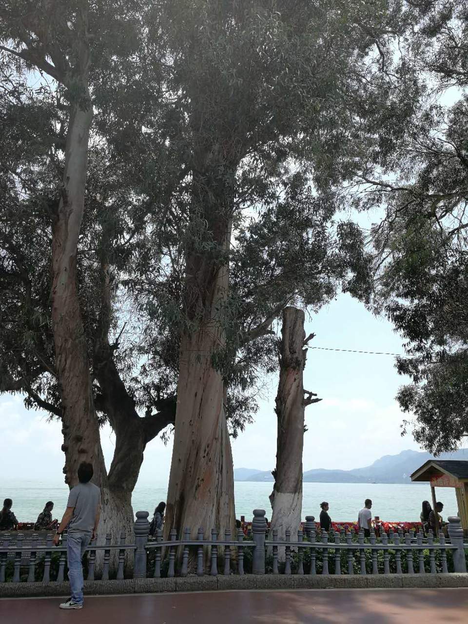 GRZmMptJYC17dSRcxZ4BXf00fszdQeFXp20la-OpLPKW8Ez2_Hz746naKgZNGF57