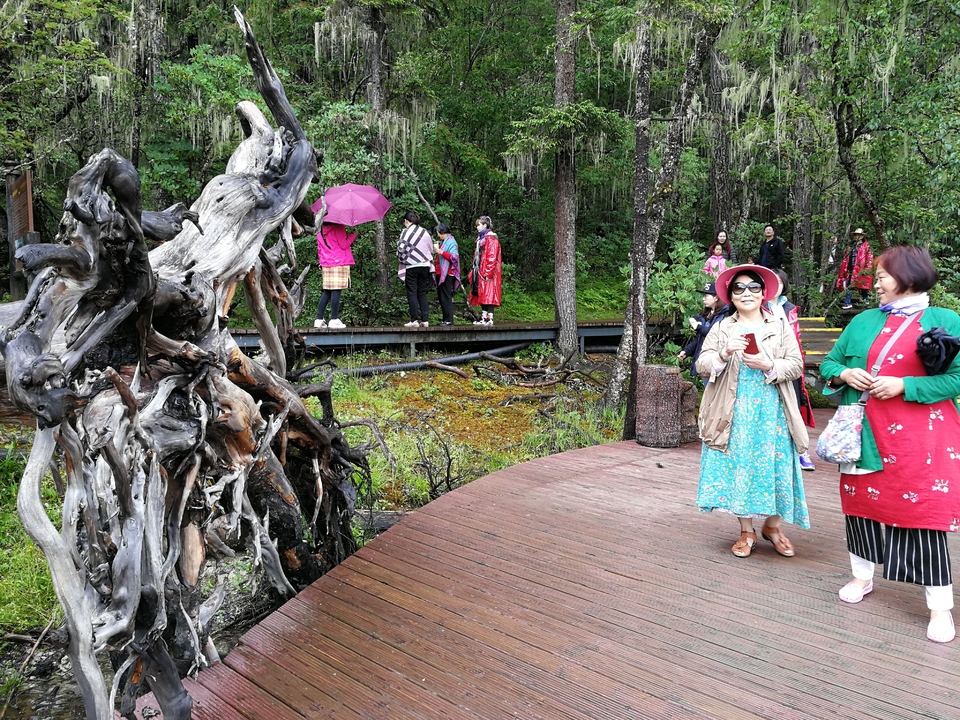 lJm32NBBeA6NO1fHeJxgWVZ5YpuLb1rWVKAxPe0a8PSh-a6gF6DGgYb2apDbavvl