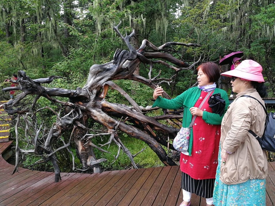 y8yvgz9n26QSgpp0epowgbmhdoyTtT6F9hGWvjuASGC2_dIIuCZeYnO45x4lOk-U