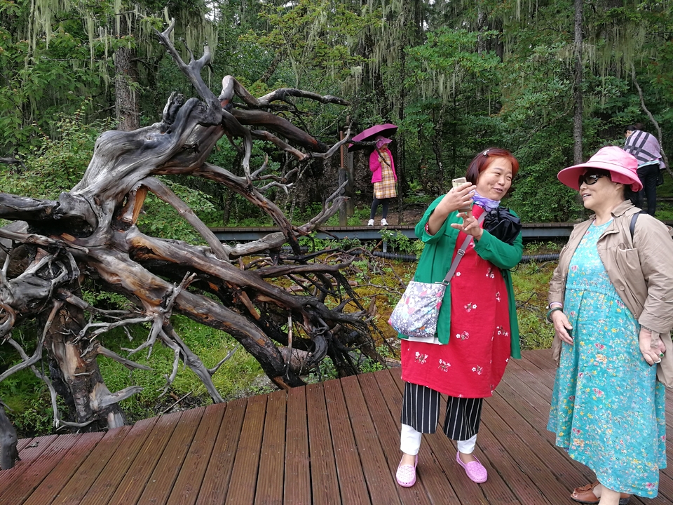 0BGden18CAgg28iB7G6_qA4SpkSueIS2eCF_JQq5D4bZLLEYWtMicH_fT_hrZpd2