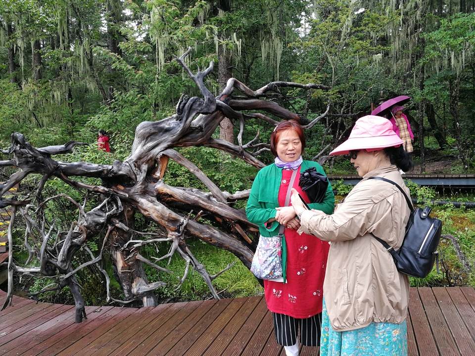 qs6z3kzLO7E_-llz77oQ-m6eAqLsb5pd0dw4ofb_-uC27mi09qG-bfwIlsW6xlhA