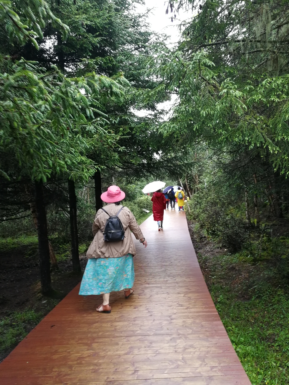 ZfC_pnu75PsXfHXfQn3CWsC0bhCdU5aiBHlYanHFKZd1zJYOZqGfrdnJc0STXhR2