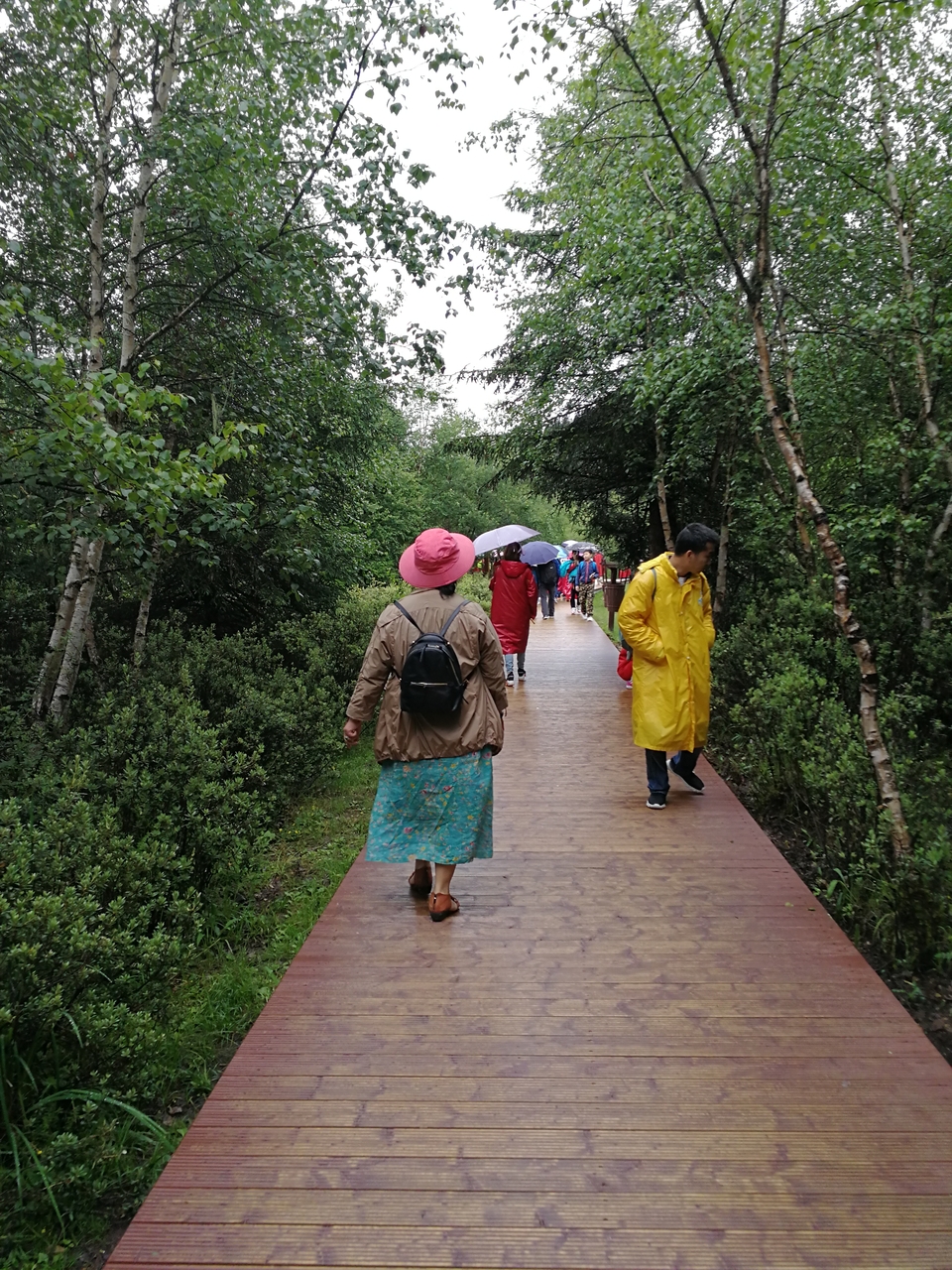 rgAFkcsWlYkVN3xmxNICSS3520xBvFOfulGCxXD9Xmro7deDDRqgcSwHBaNl9C-l