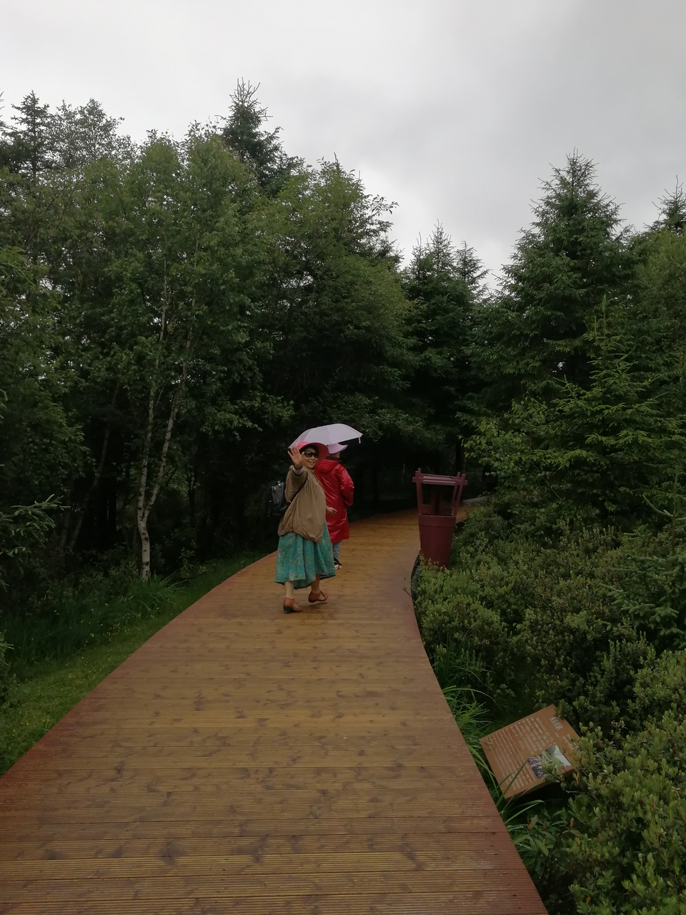 62Y5LQai7Em8wLqzYg3DzrT7zAlaSkE3pelHKKyU1gss1DLugw_QWUr-cJaQZ1YW