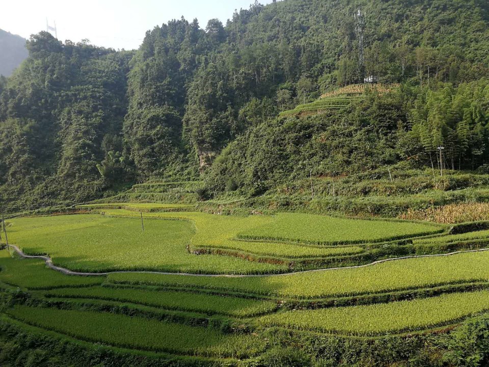 oAFoVFG97NDA7zYDfDOraqcp7Wa22nLTj2LrDzg5Yabaw5IlXe1QJ-nyJtXz-y9N