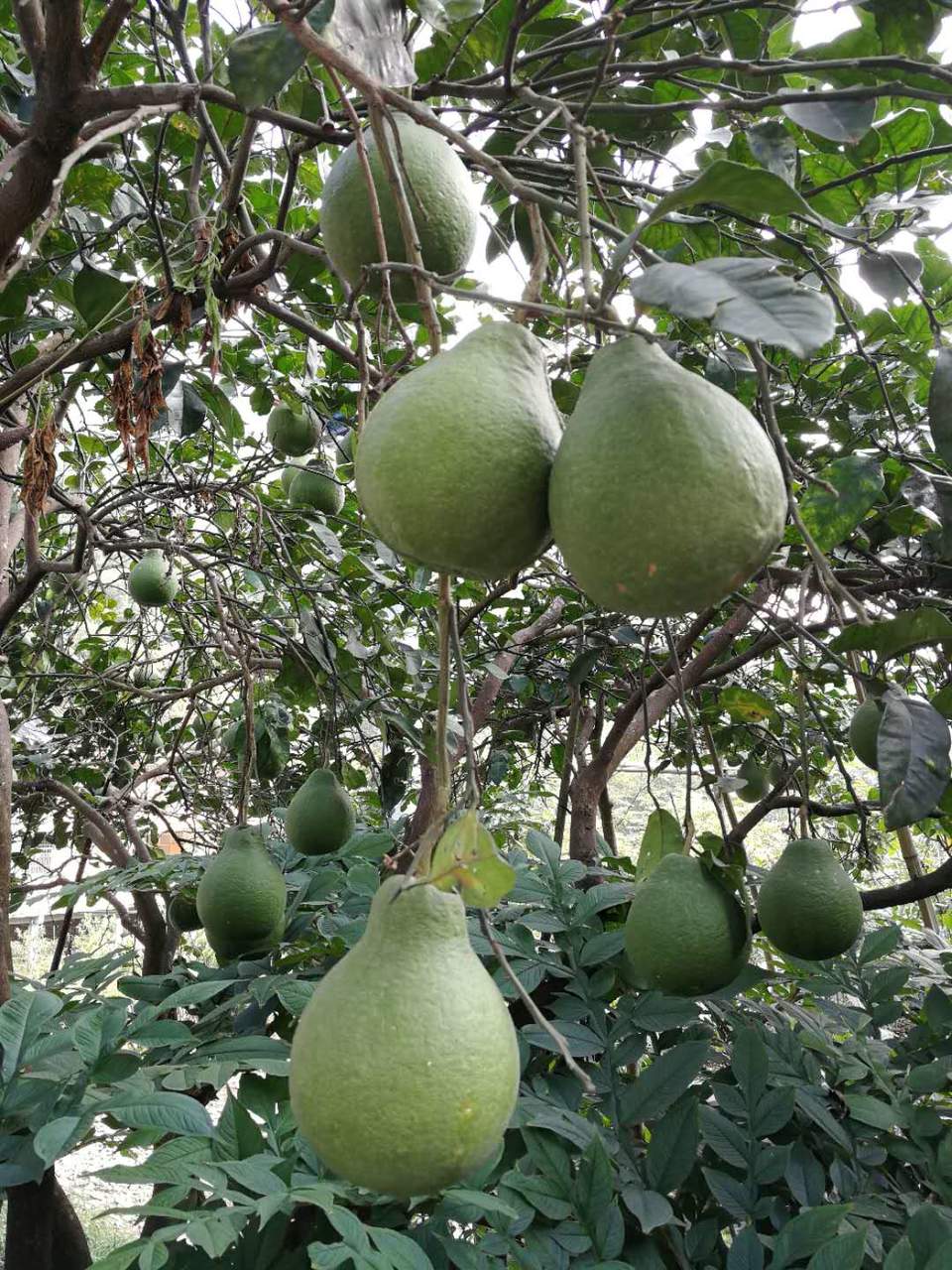 Y-EK1rpMQdaCMJYhrnEboAr8DR0LQTHX6bGA4Z-yplo5P3BErDhnHqhYXRF8qTyv