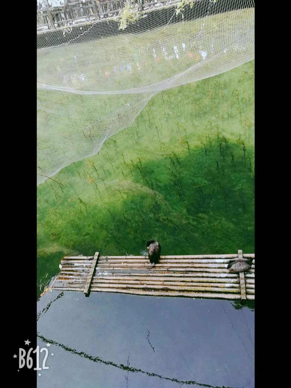 2dIQqypFyL3ICMgYEjb6N_zMTN92lOz6nFAX7bbllHKhBq7LZlSwlG-v07PlGhDK