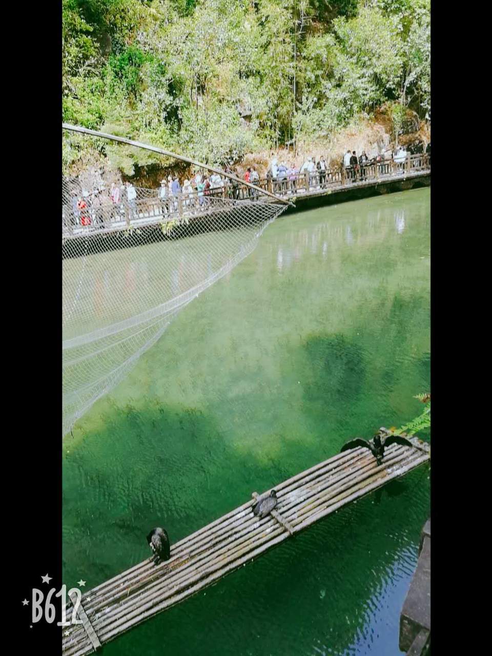 RRNBkx9aO43B1RjlQODS2sRYujo4Z6W1A-yznNJVP_IrNFaZ7CbRHUQCI2j8cEmY