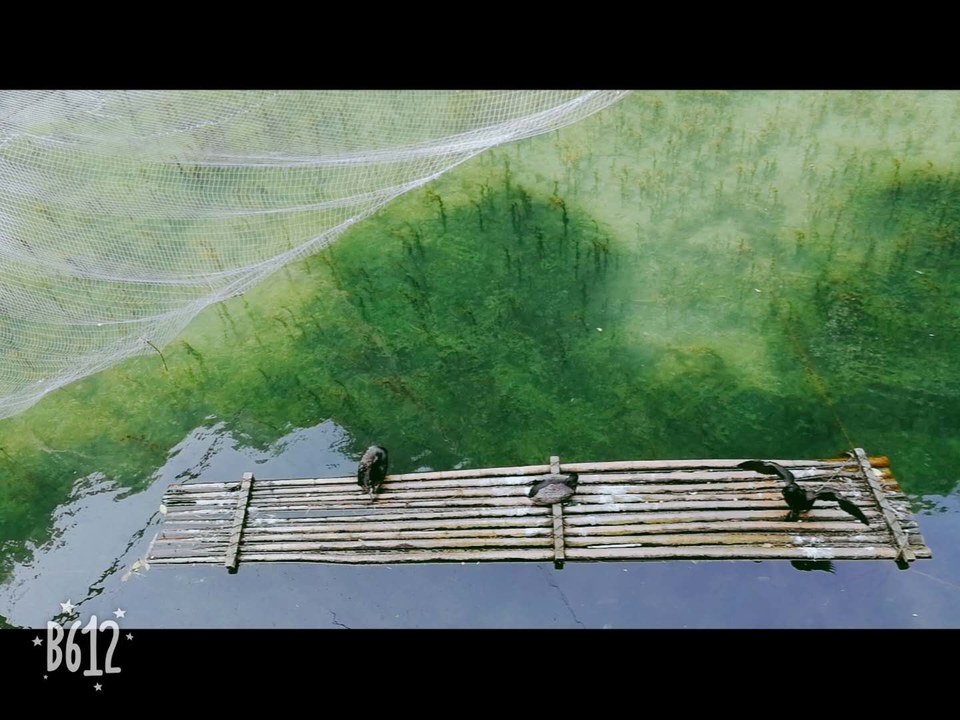 5Mb5ot4pDRdQIMFtmFLPYdPMvPH4KVwTU2YFsttNwFJWmhaPmwY6kMkXBWkWBVDA