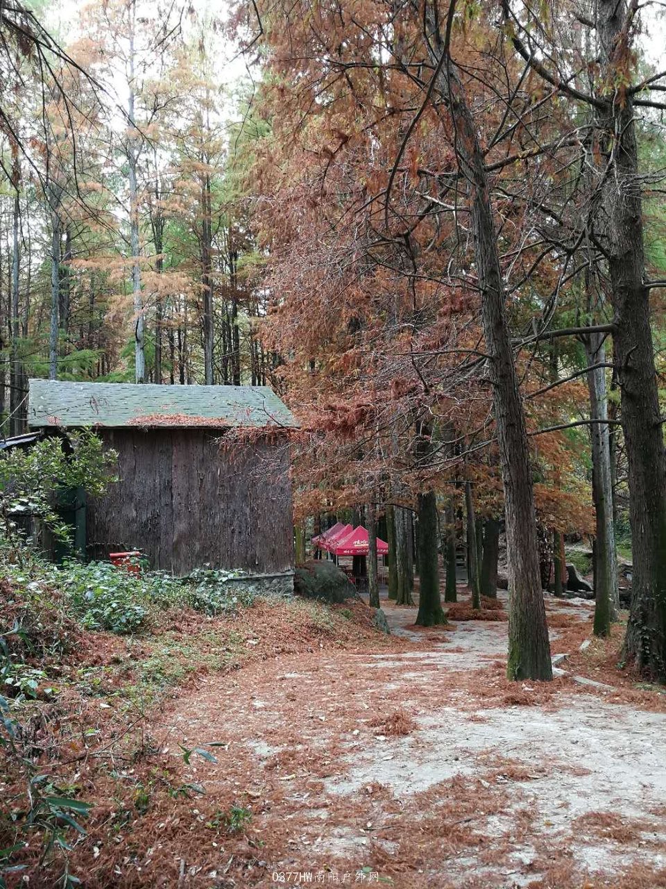 jgHRhqjGtTgXxgSFtcogV6-9nEei897k6_4ROnZCkHCKIpVQ215nL4LiSuo30jtJ