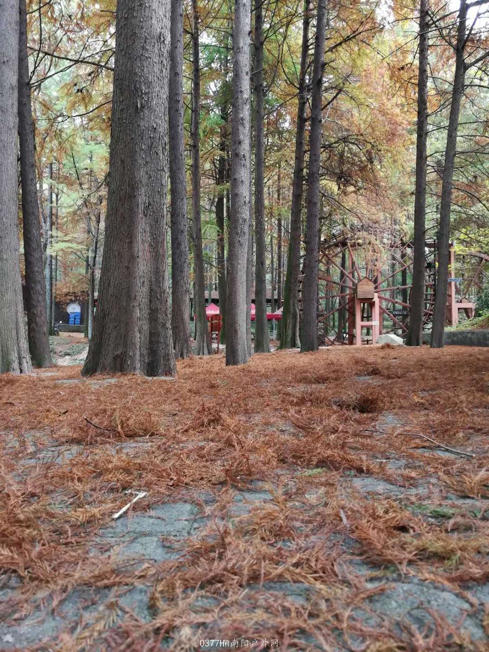 36Sm2GH-Fvs82KrQW7nAuGfQ1TUyqQv-qnc2Rrqz2g4Ea3v4wbQB2Fa5vS5DZLJL