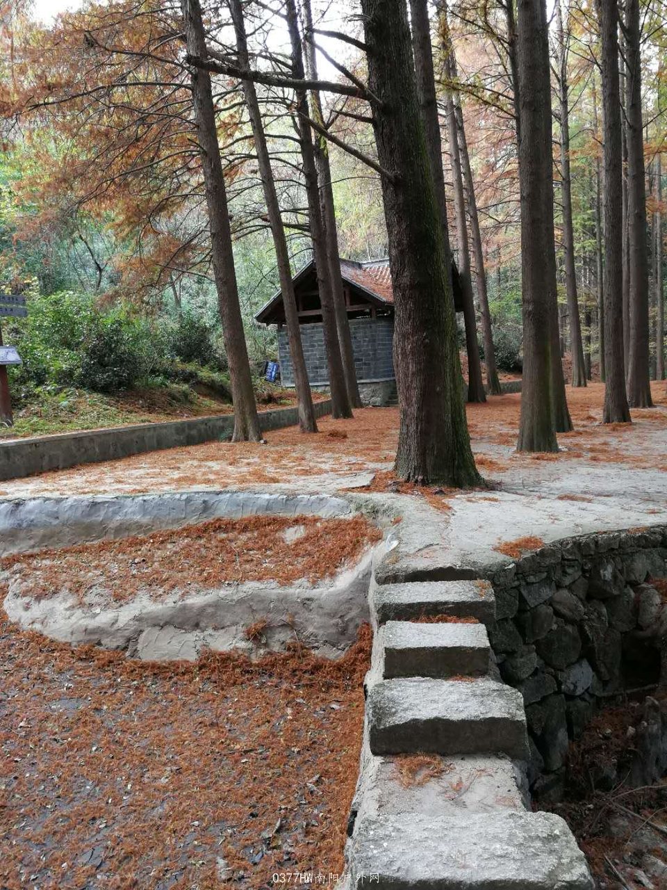 dtOBI3O0W84-9sL8PthuKpn1B7h2Srr-4Ud9pTIBdvWc9dwxS_K5p22zzzhHUTgc