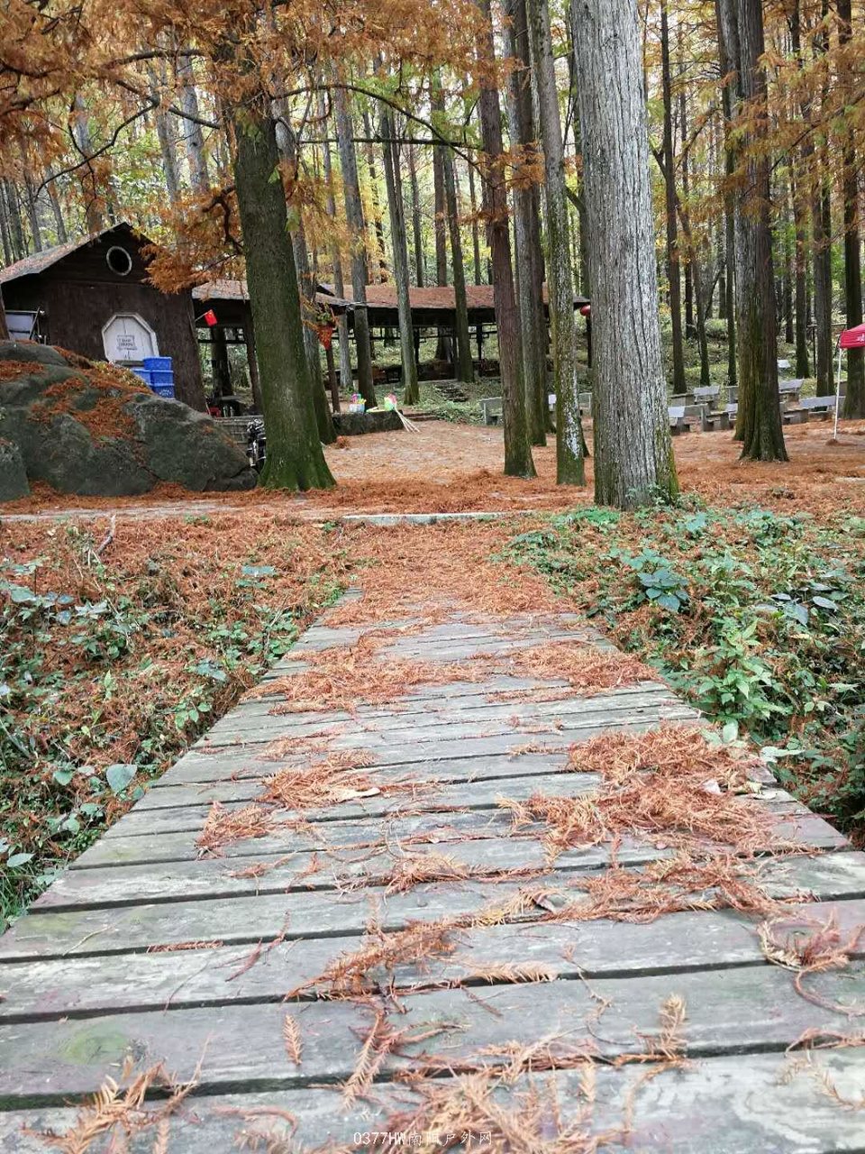 BppFlN2v1jfH3Y0hIzPmUD2DNTtCu0aA5fF8xzO51D_GkQG4CS_WoKSunrzQOQg8