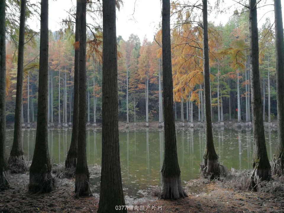 o4XrbXSigx4FO9iyqpJFm6fxlp7AW5xMhfbAjlP2s0rU8LAR3fcP7Xj5_Ovo8e_V