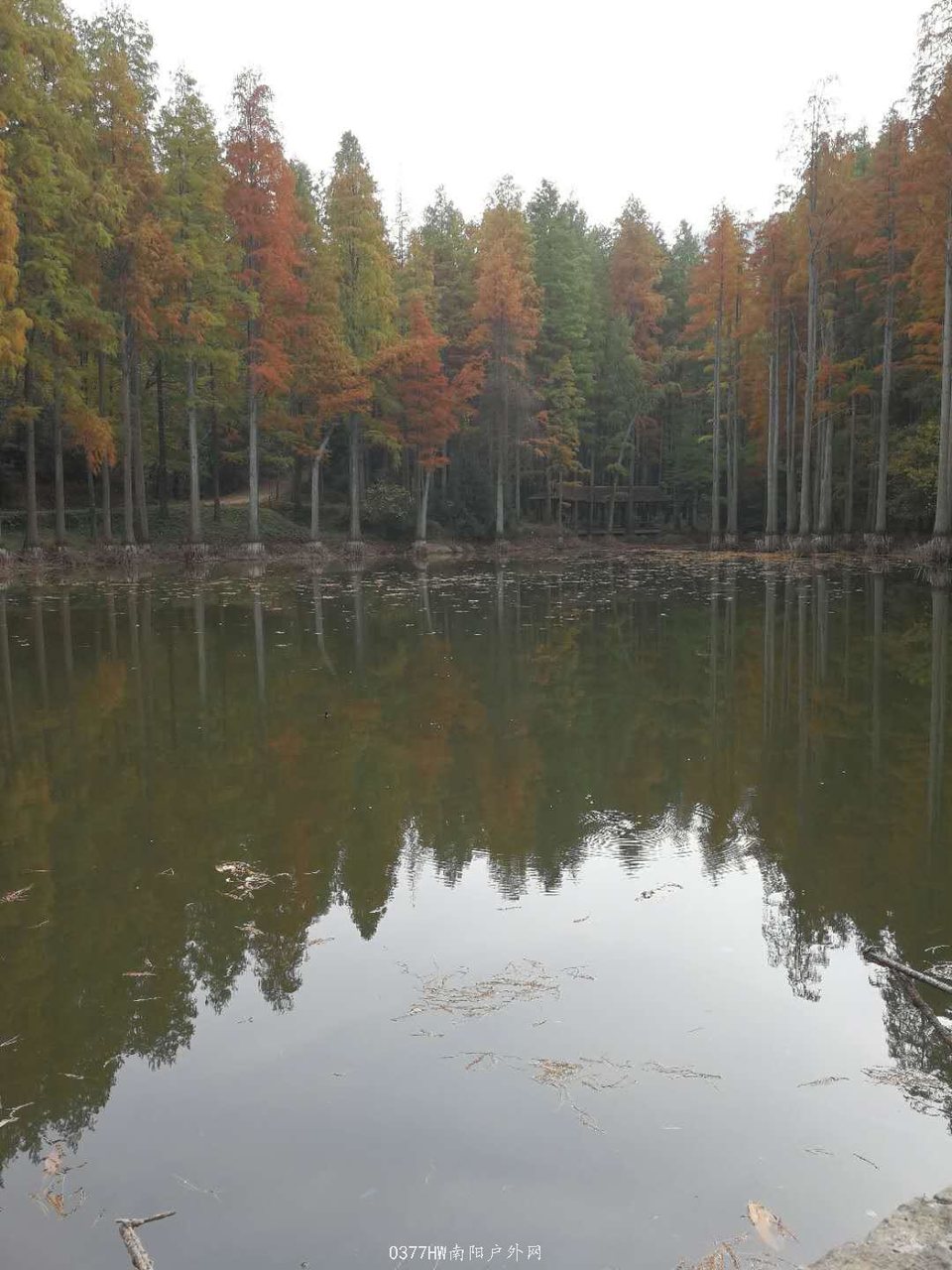 joOQDTLU0DRVg-8NQH1Gu5P9t_KAJnQriulSI0V6dxKccKZ291vXqnsgkEJsIFqq