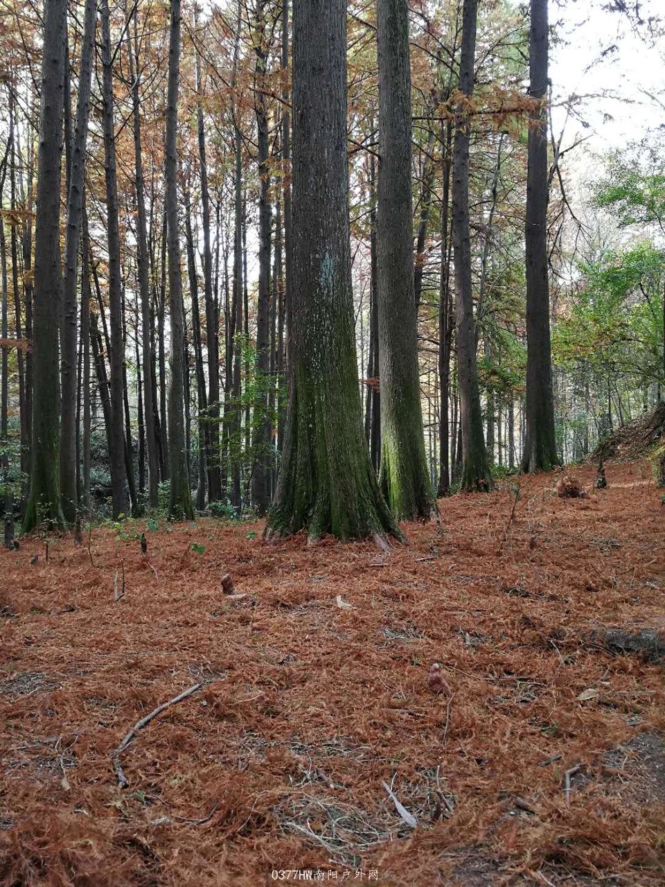 q4WW01h2hjSMg5CMEU1LrnV55jlkKJIklEVn8hGf--3oyWWa0actyXJqthMuN8WR