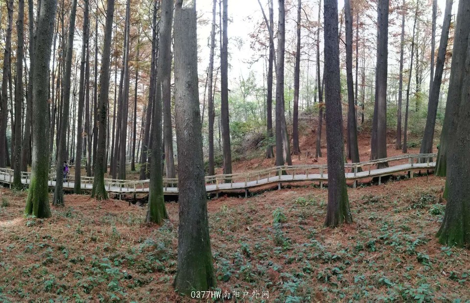 6JALNVs4lhmrCR8adiO9rVFDrBi-jQzNgSZ8ty1AoB1JKv9IWaZNgDxf8-vqpSMx