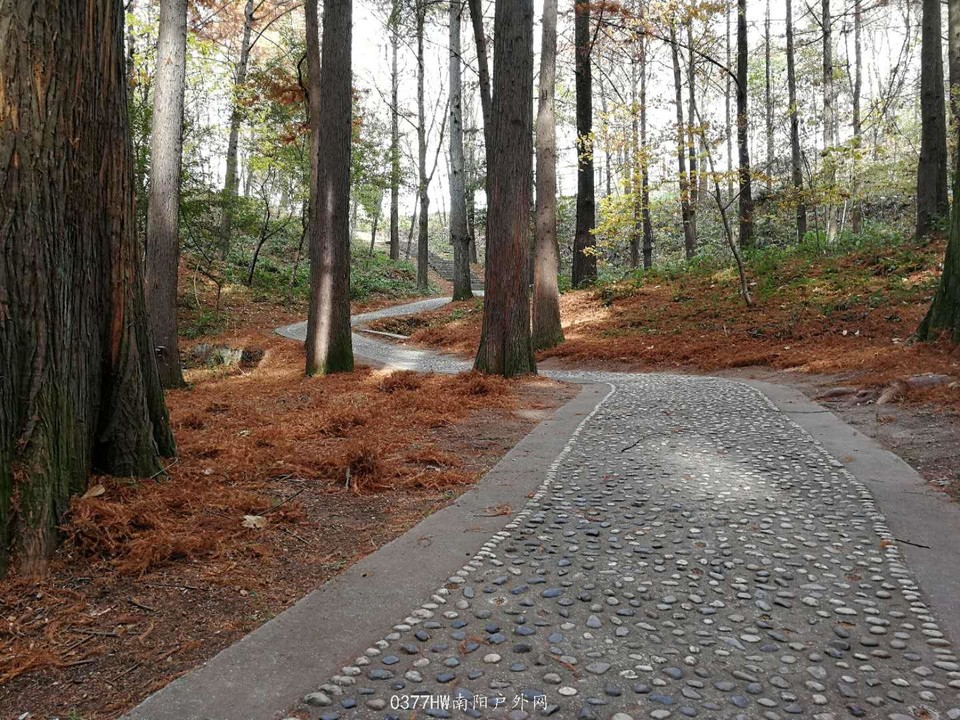 wGKSre3HLbI3JL-r6Ip3P8335bUWewlj1IgLMRYIfB79rfXWidUrhsg0vXVe5l_O