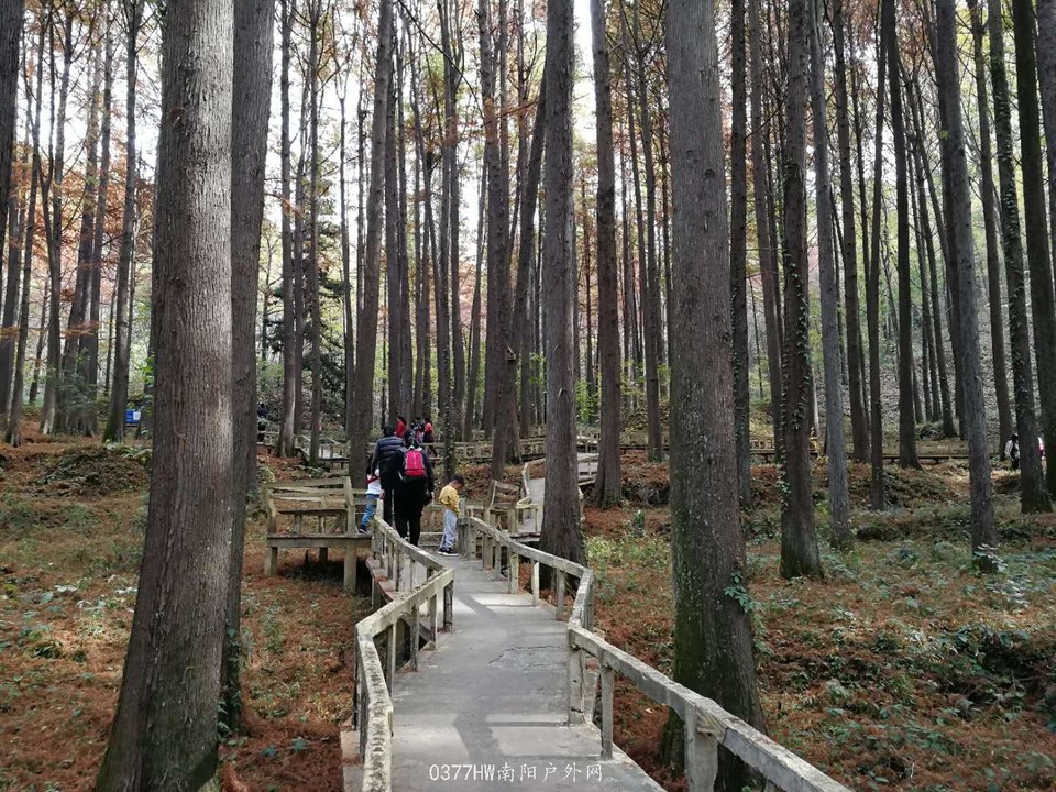 1JGpjGQTjEfimeGYluJlBoTKy0dHN87OV-086ozUfqKjoMUbmDJZsCr3co3mKPC-