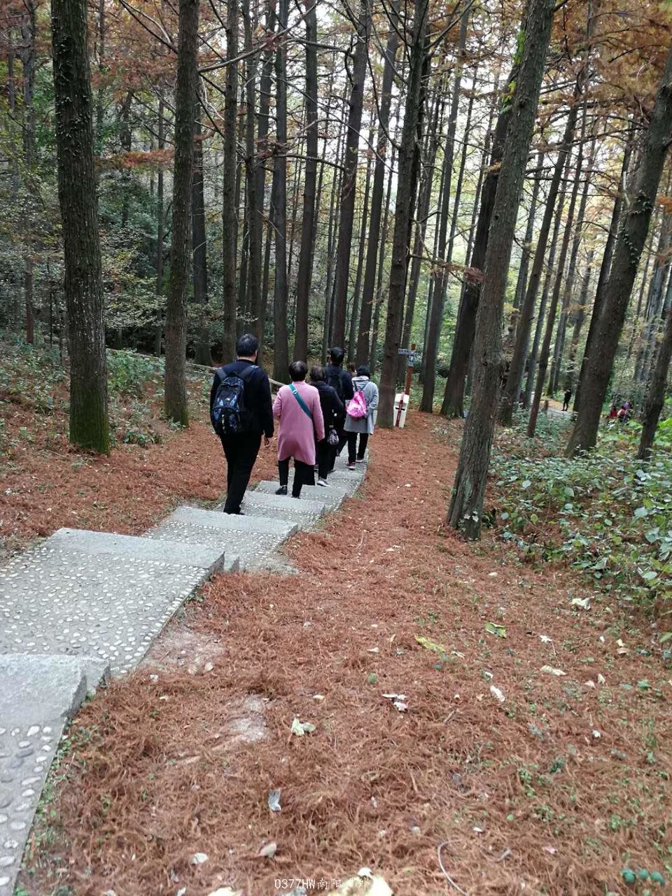 lV2MFHchjxSztBrjUd8FBiFV4HfiqV15TWkMwVWmjph3R96_dRTkDh0FCpZrME1q