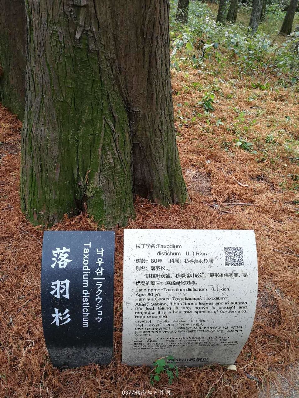 X9JSlVZqckg15O1oO-PWn0X6njSnGxXtgwehBCWoHMrQ5GHQd0l2V8Z5OtkKNY4w