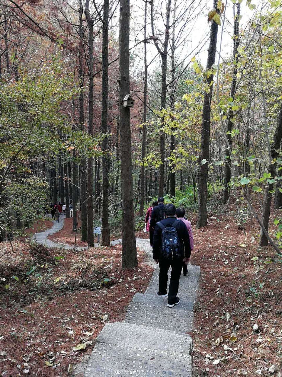 eB8KLbsNTUHl7TKWViHqCSBHdRkluPNO5awUbUAAPmcRyv7UIVxz66r0BaJivkxO