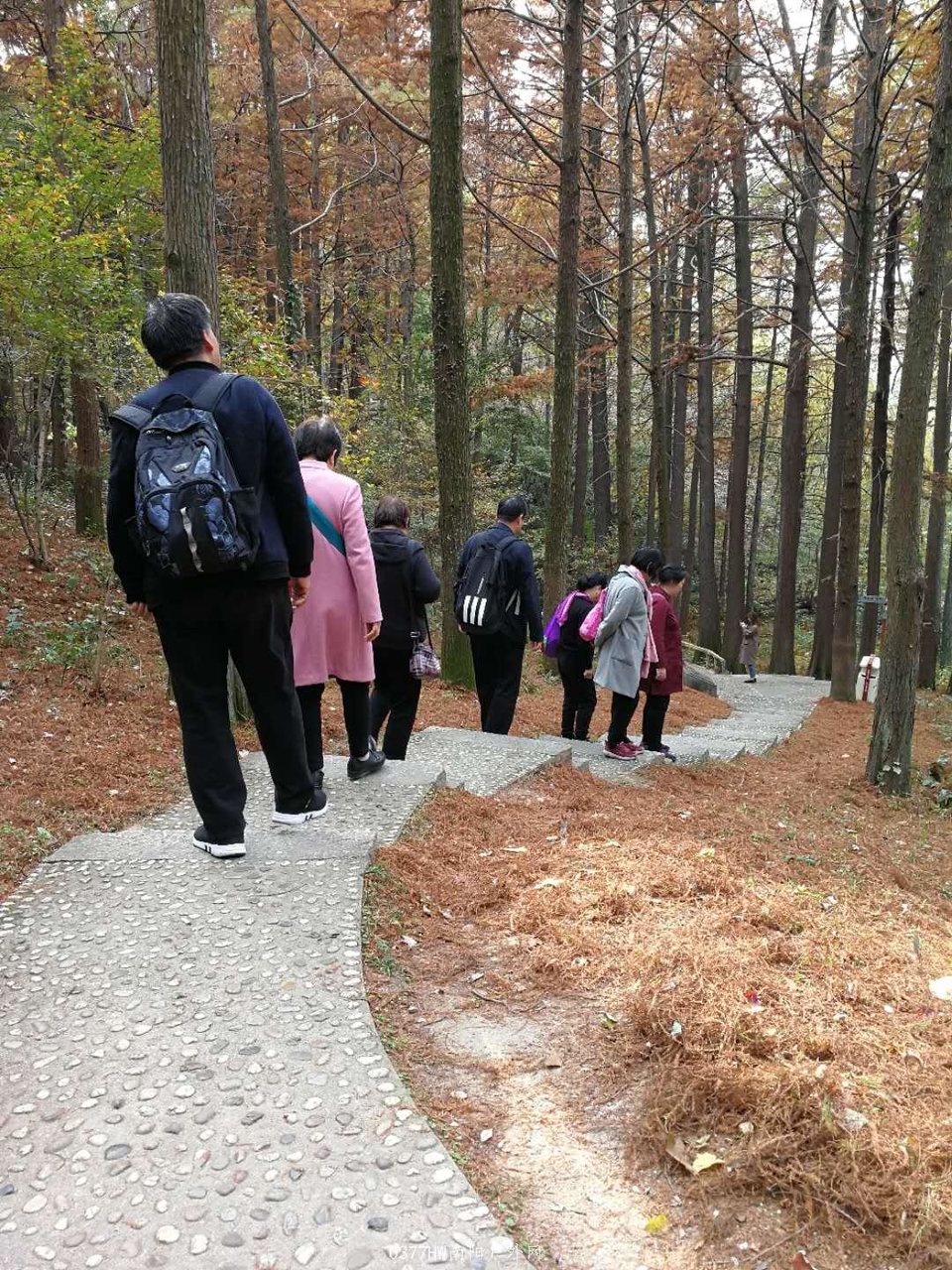 rWs5nZ6IbaAAGfNgN4K2JWxtzvbZeSS7gy51tx5qHqJpvkSk_-jeIchsdytA-kRk