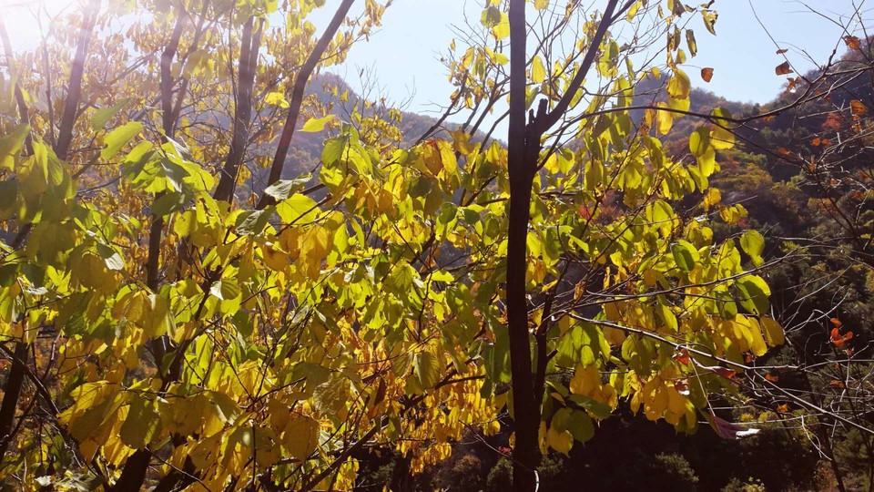 RivECjkuQaPDpFVD51noG1wkGDDhl99cD4UlEzohCPxK0WO9fMJsOetW9T_uBybk