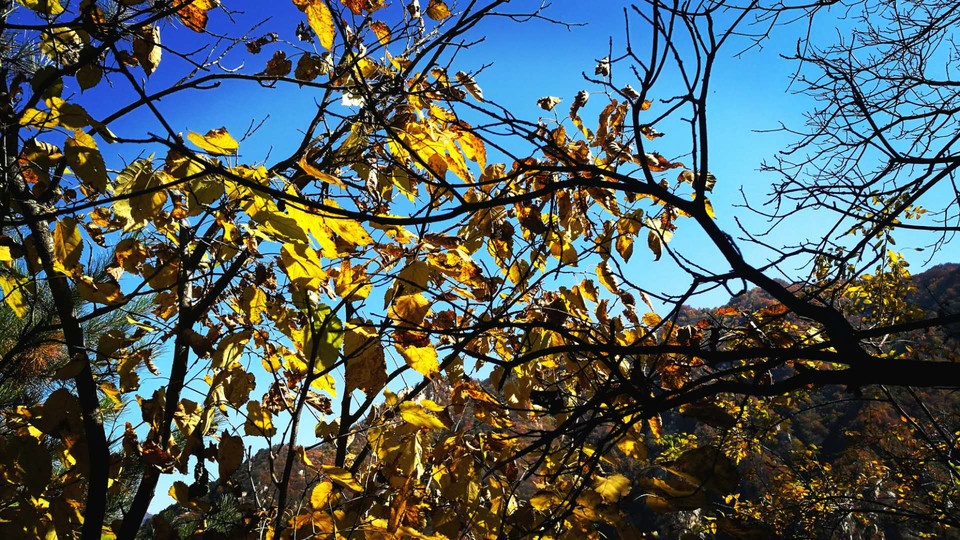 xwPjaP2dTtzq_eCfC7Txnr-RefqxFI4TuvIBjs4R8AhEe9D3uOUyObaVVOjrrvcw