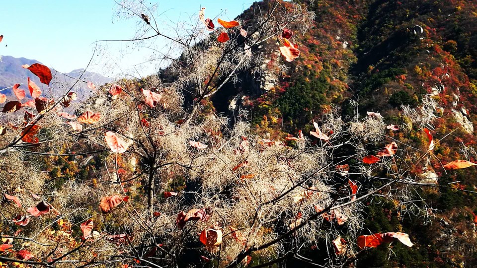 _-H64HJjUG0_eVlp7q1y_tLoN0CIY8zLnKhgzKkxG4qLfZKlvvq520akz6u6n3Uq