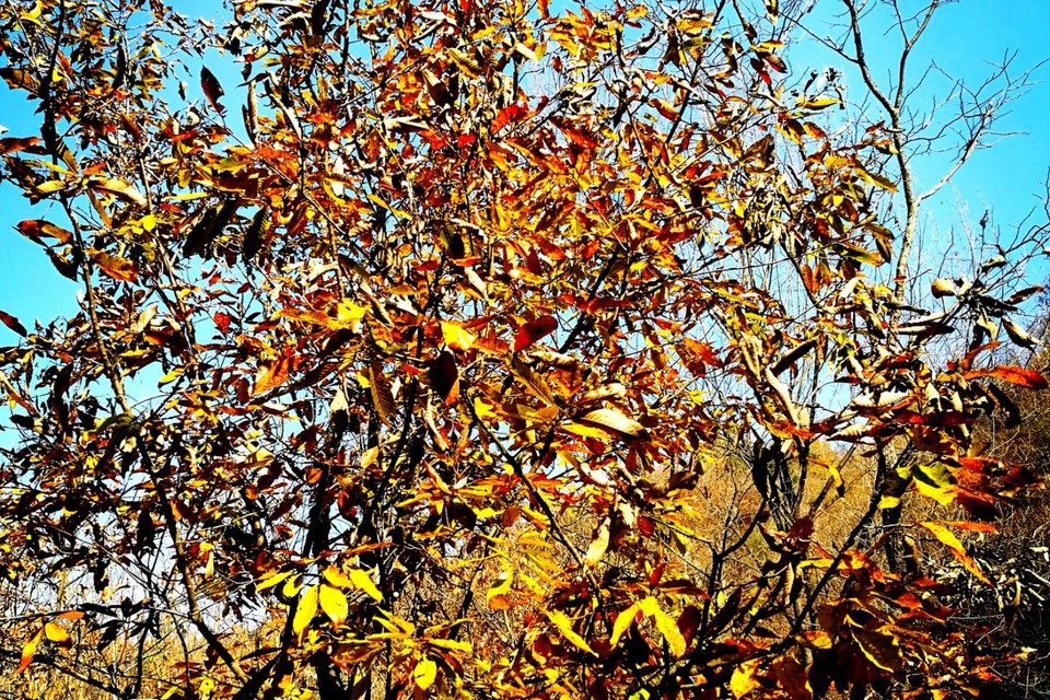 8wR0Kh_fGuapl9pQ9xisjPgS-ebZcrSDbEk7jc9vxoOkXdUVB5VvprLHmv5XrhXH